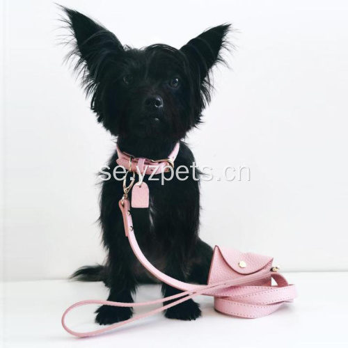 Skräddarsydd Pu Dog Lead